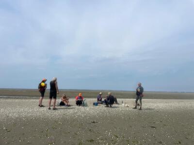 oosterschelde-2